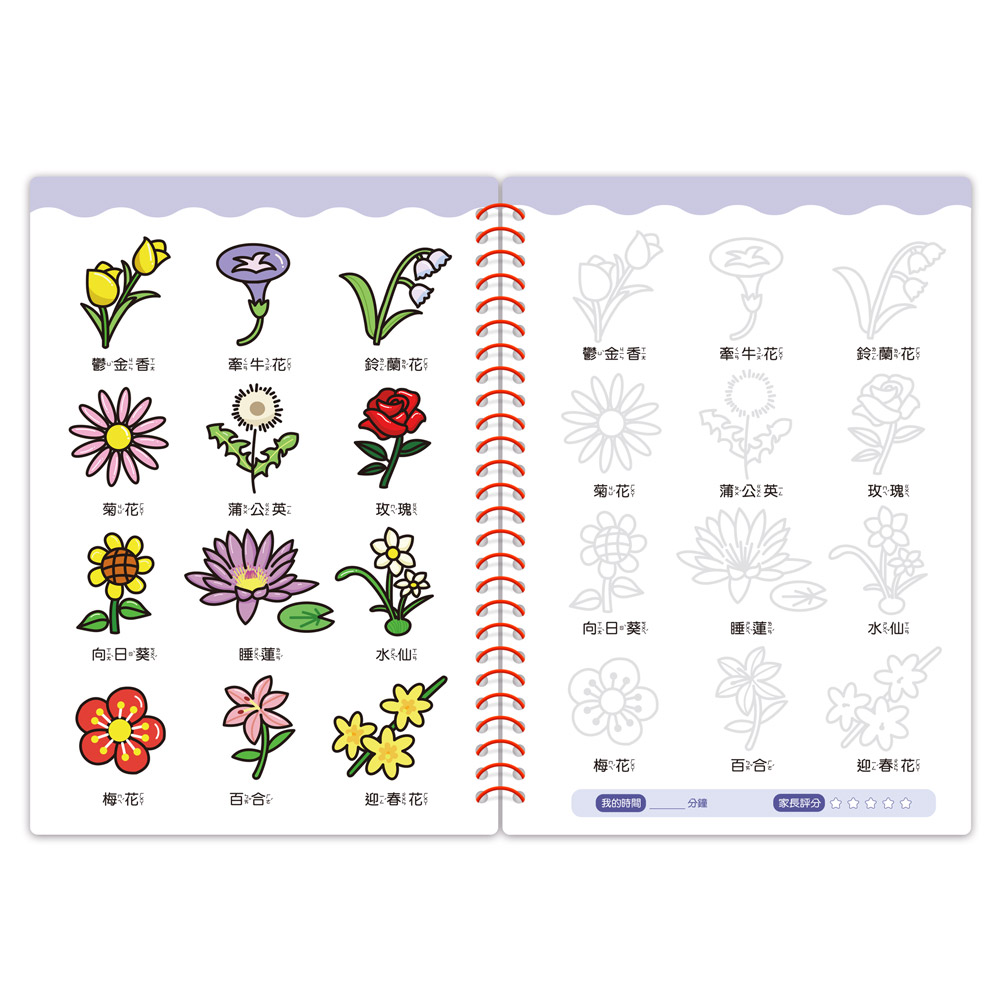 魔法凹槽控筆訓練-動物植物